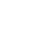 Bastion Vanguard
